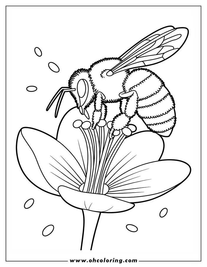 Line art of a bee on a flower, designed as a coloring page. The bee has delicate wings and a striped body, and it sits atop a simple flower with rounded petals.