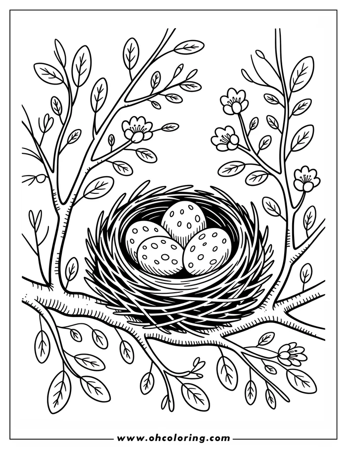 Line art of a bird nest nestled in spring branches. The nest contains three speckled eggs, and the branches have delicate blossoms and new leaves, suggesting spring. A simple design perfect for a coloring page.