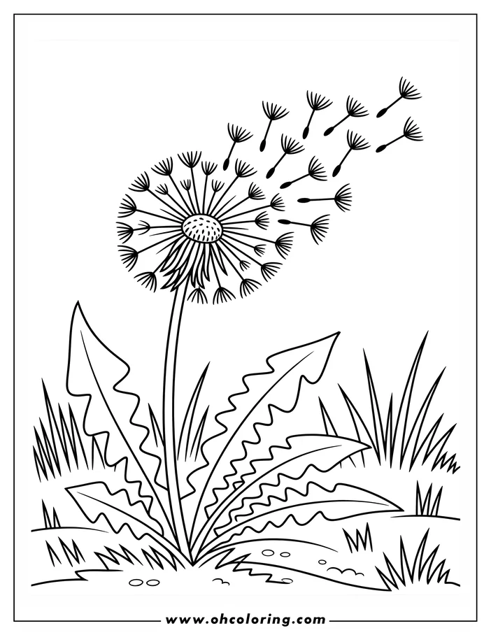 Line art of a dandelion with seeds blowing in the wind. The dandelion has a textured center and jagged leaves. Blades of grass surround the base of the dandelion. Perfect for a coloring sheet.