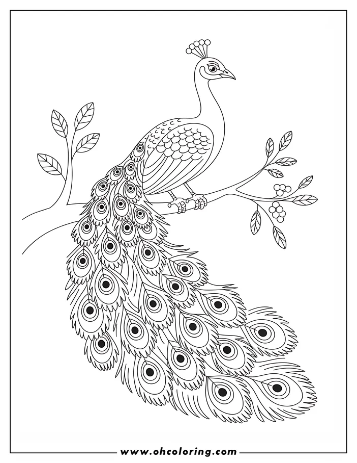 Line art of a peacock sitting on a branch, its ornate tail feathers flowing downward.