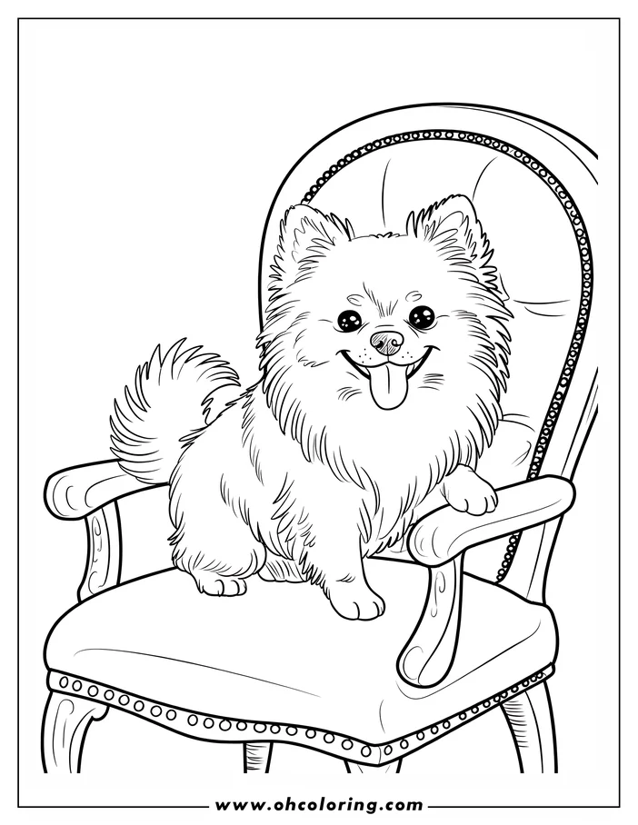 Line art of a Pomeranian dog sitting on a decorative chair, tongue out