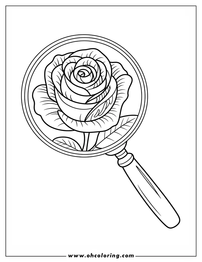 Line art depicting a rose under a magnifying glass. The detailed rose, with its layered petals and leaves, is the central focus, enlarged for coloring. The magnifying glass's rim and handle frame the flower, creating a scientific or investigative feel. This is a printable coloring design.