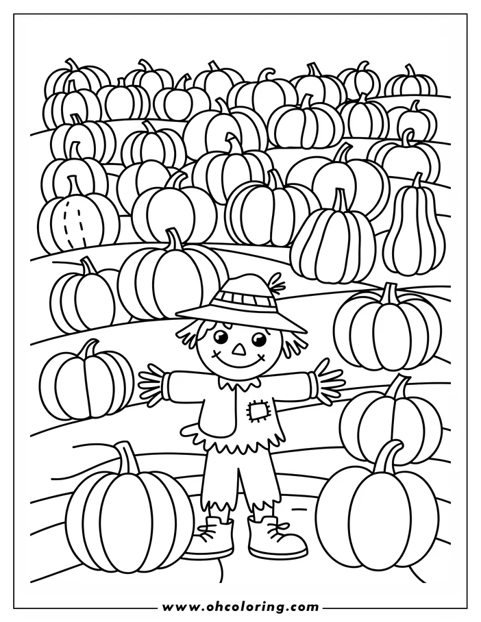 Line art of a scarecrow standing in a pumpkin patch, surrounded by various pumpkins.