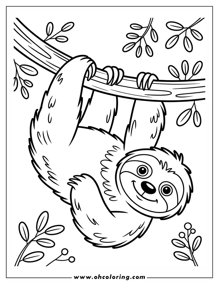 Outline of a cartoon sloth hanging upside down from a tree branch, surrounded by simple leaves and berries.