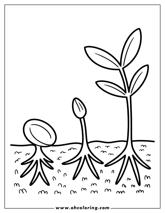 Simple line art of three plant growth stages for a spring coloring page. A seed, a sprout, and a small plant with leaves are depicted in the ground.