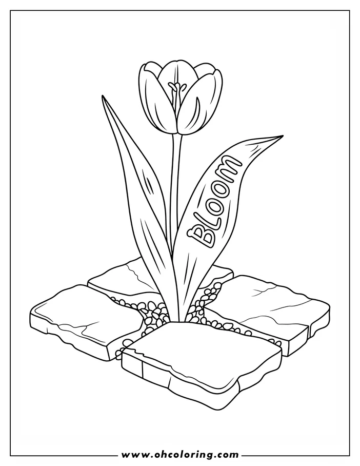 Line art of a tulip growing through cracks in pavement. The tulip has two leaves and the word 'Bloom' written on one. Small pebbles surround the base of the stem. A simple coloring sheet design.