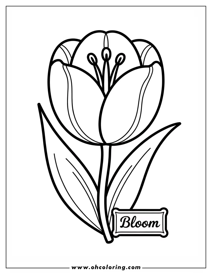 Line art of a tulip with a sign that reads "Bloom." The tulip has detailed petals and leaves.  A small label hangs from the stem.  Ready for coloring.