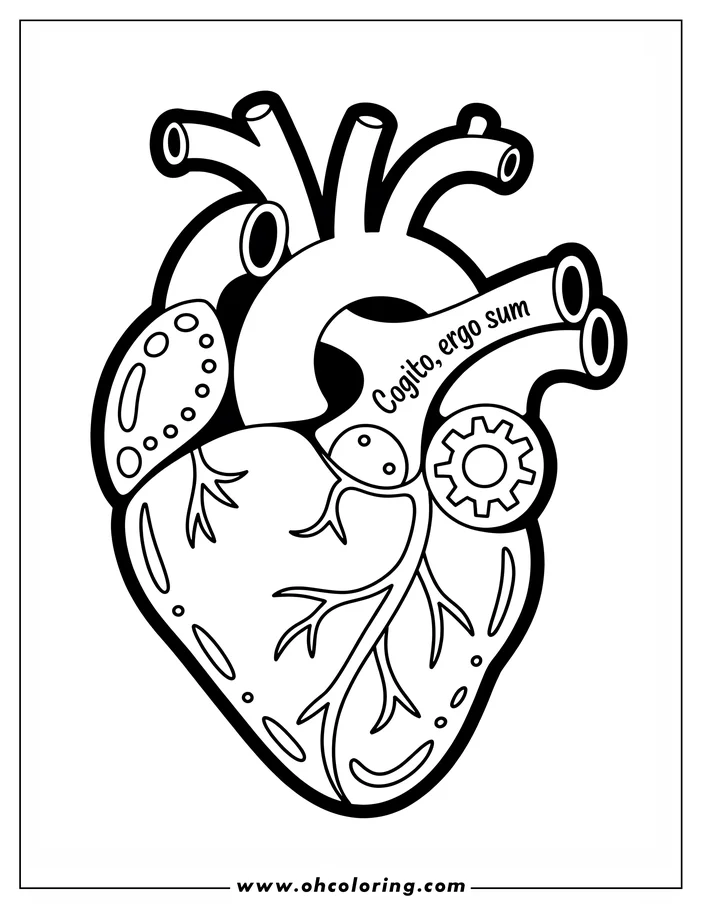 Line art of an anatomical heart coloring sheet design. Details of the veins, arteries, and valves are shown.  A gear is present, with the words "Cogito, ergo sum." written across the image.