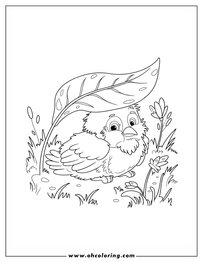 Line drawing of a baby bird sitting under a large leaf, surrounded by flowers and grass.