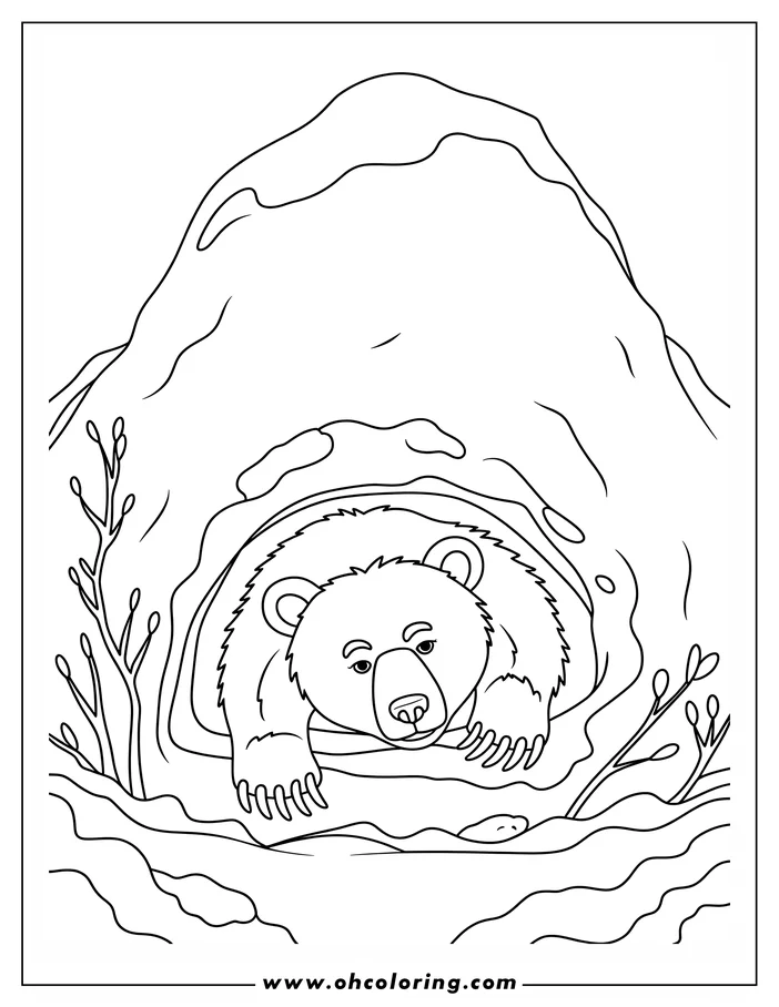 Line art of a bear emerging from its den.  Budding branches suggest springtime. This is a drawing designed as a coloring page.