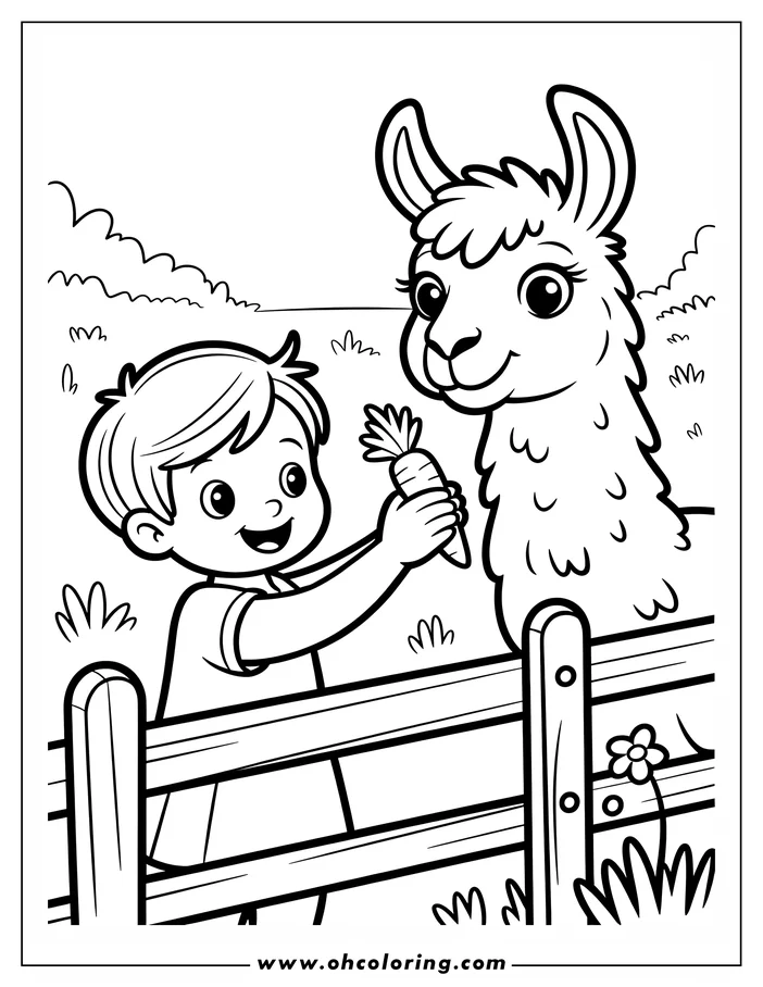 Line art of a boy feeding a carrot to a llama over a wooden fence at the zoo.