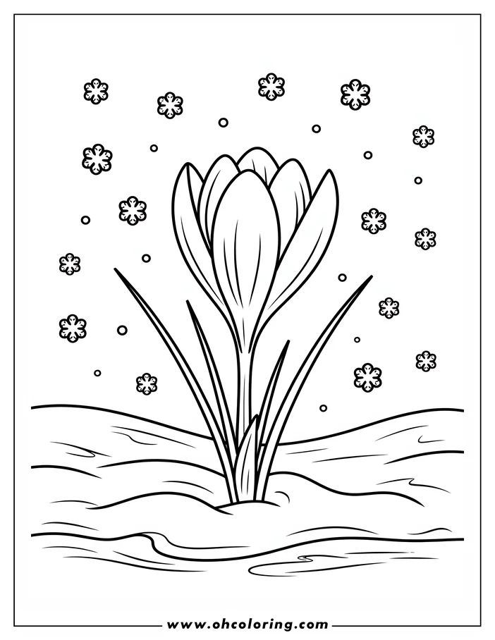 Line art of a crocus flower emerging from the snow. Snowflakes fall gently around the simple flower design, creating a peaceful scene ready for coloring.