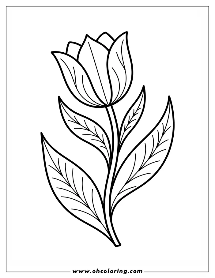 Simple line art of a single tulip with detailed leaves. This coloring sheet design features a classic tulip bloom with curved petals and a sturdy stem, accompanied by prominent leaves, ideal for coloring activities.