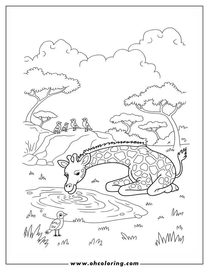 Outline of a young giraffe drinking water from a pond, with small birds nearby.