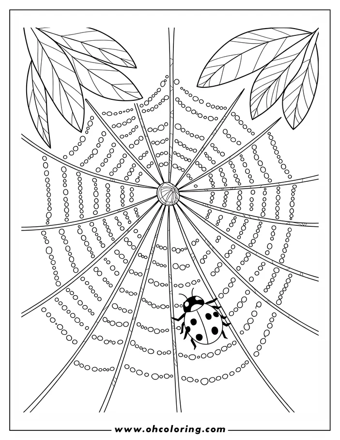 Simple line art drawing of a ladybug crawling on a leaf. The design is intended as a coloring page.