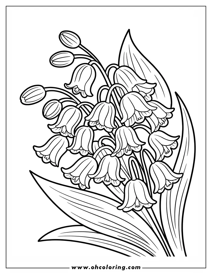 Line art of a lily of the valley bouquet, featuring delicate bell-shaped flowers and long, elegant leaves. This spring-themed coloring sheet design is perfect for adding a touch of nature to your creative projects.