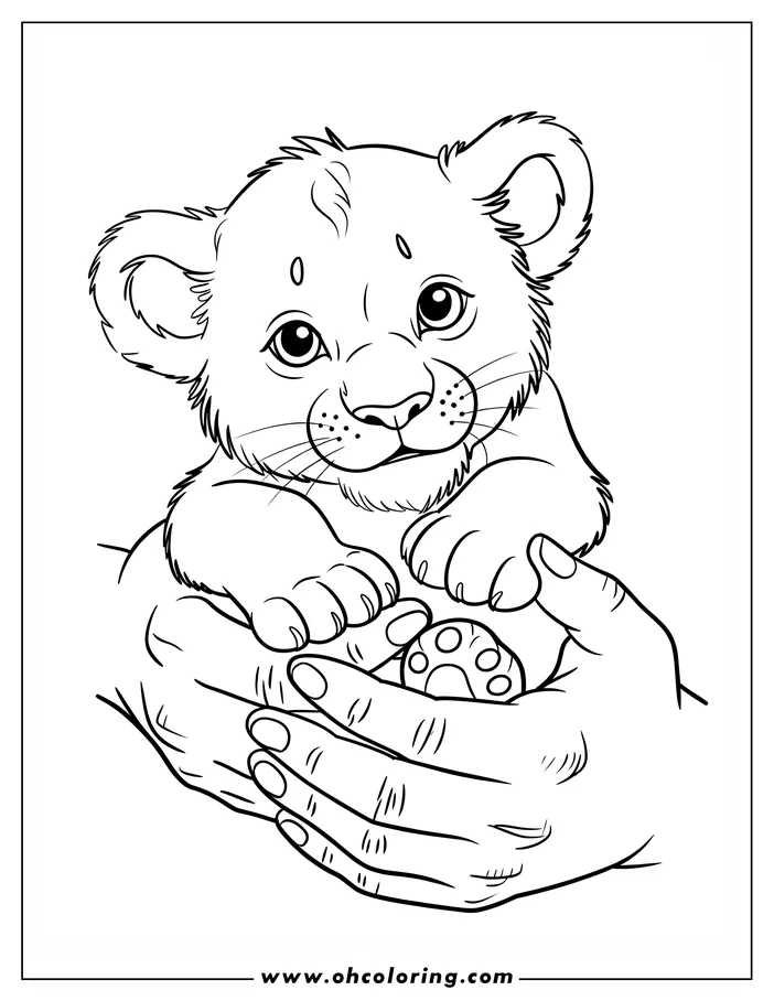 Line art of a lion cub held gently in two hands. The cub's paws rest on the palms, and its expression is sweet and innocent.