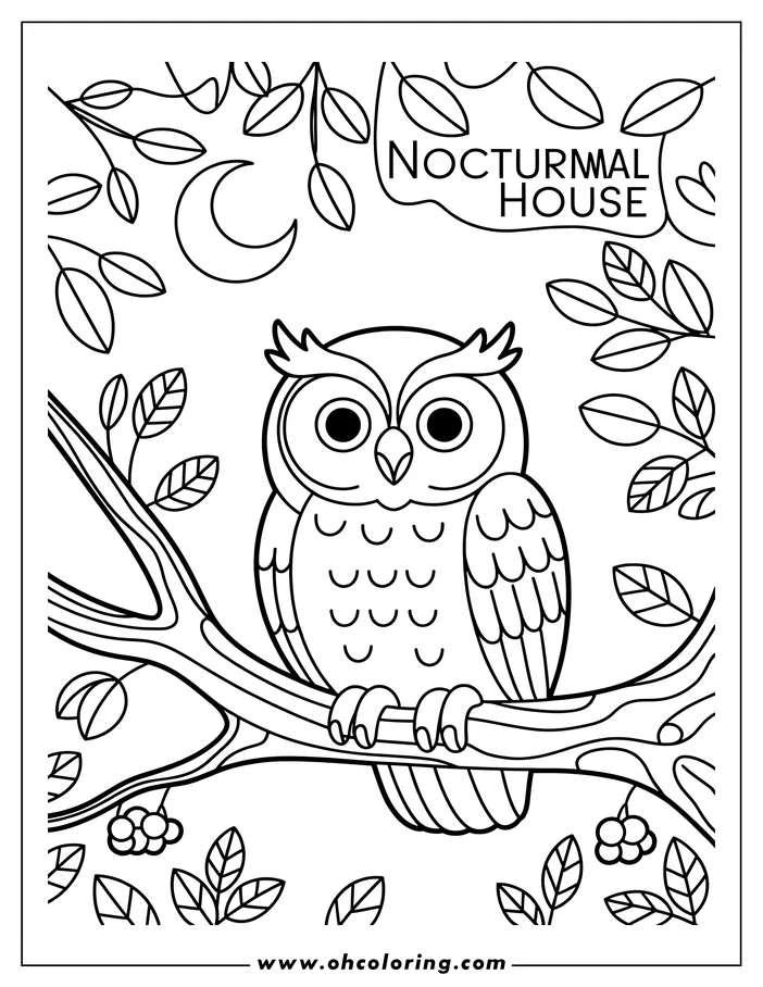 Line art of an owl sitting on a branch under a crescent moon. The owl's detailed feathers and the surrounding leaves are waiting to be colored.