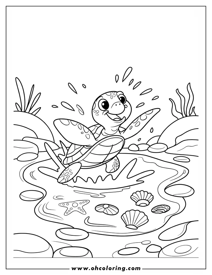 Line art of a happy baby sea turtle splashing in a tide pool with a starfish and seashells.
