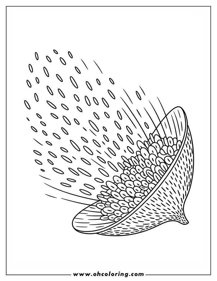 Line art of a seed pod bursting open, scattering numerous small seeds. The detailed design shows the textured interior of the pod and the dynamic movement of the dispersing seeds, ideal for a nature-themed coloring page.