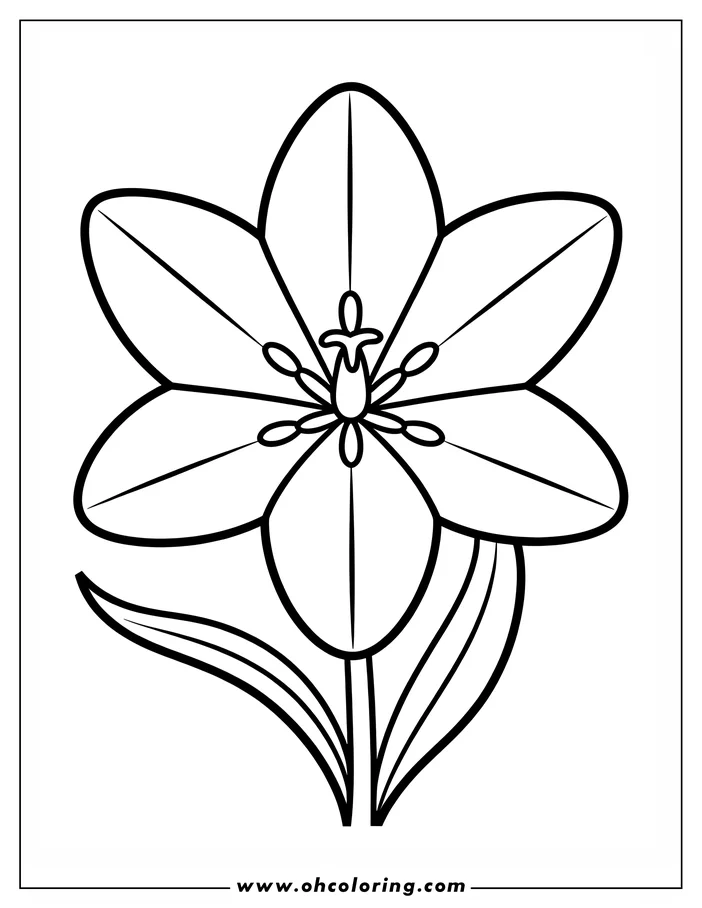 Simple line art of a six-petal tulip with three leaves and a detailed center, presented as a coloring page design.