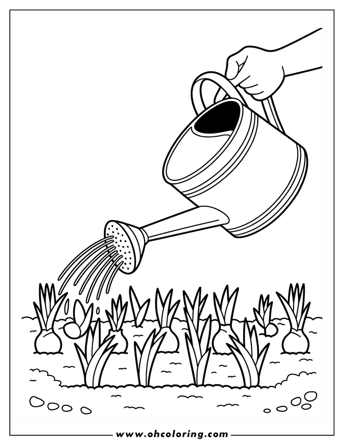 Line art depicting spring flowers being watered from a watering can held by a hand. The drawing features multiple flower bulbs with emerging leaves, receiving a gentle stream of water.  This is a printable coloring sheet design.