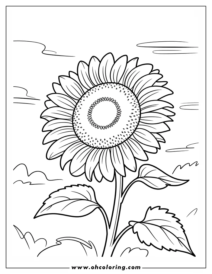 Outline of a sunflower with detailed center and large leaves.