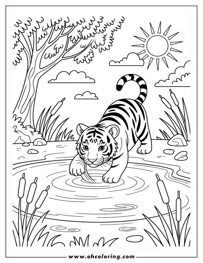 Outline drawing of a tiger cub playing in a pond. The cub has stripes and holds something in its paws, while standing near the edge of the water with cattails and grass around it. A tree and sun are in the background.