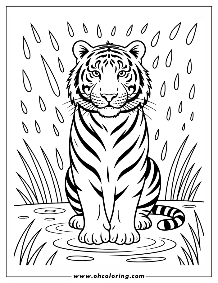 Line art of a tiger sitting calmly in the rain, surrounded by grass and puddles.