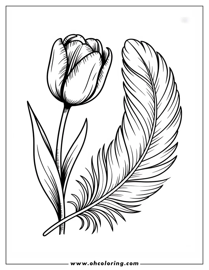 Line art of a tulip with a closed bloom and two leaves beside a curved feather with detailed barbs, designed as a coloring page.