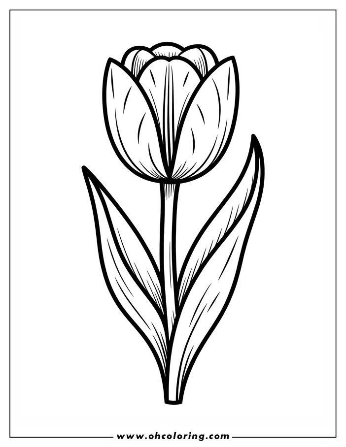 Simple line art of a tulip with closed petals and two large leaves, ready for coloring.