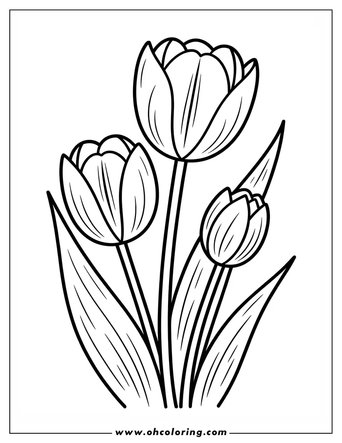 Line art of three tulips, two in full bloom and one a closed bud, with distinct petals and leaves, designed as a coloring sheet.