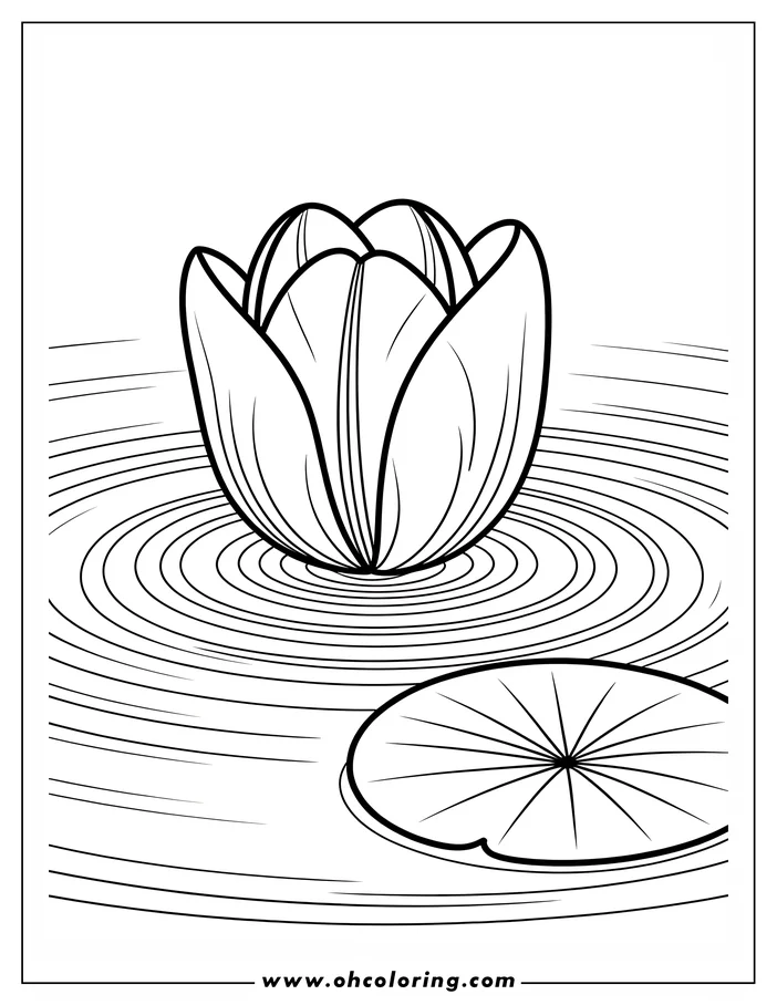 Line art of a water lily with closed petals sitting on a pond. Ripples in the water are visible and there is a single lily pad in the foreground. This is a simple design for a coloring page.