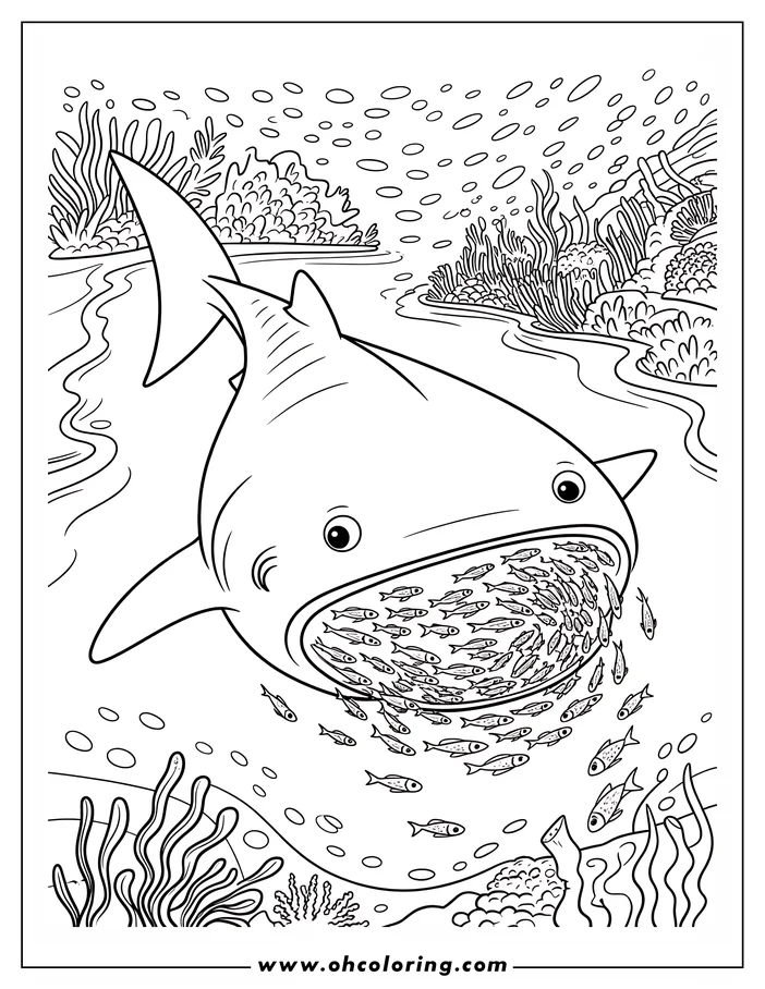 Outline of a whale shark with its mouth open full of small fish. Seaweed and coral are visible in the background.