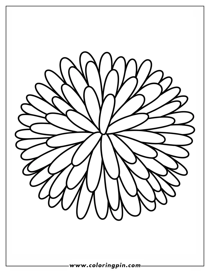 Outline of a chrysanthemum flower with many layered petals.