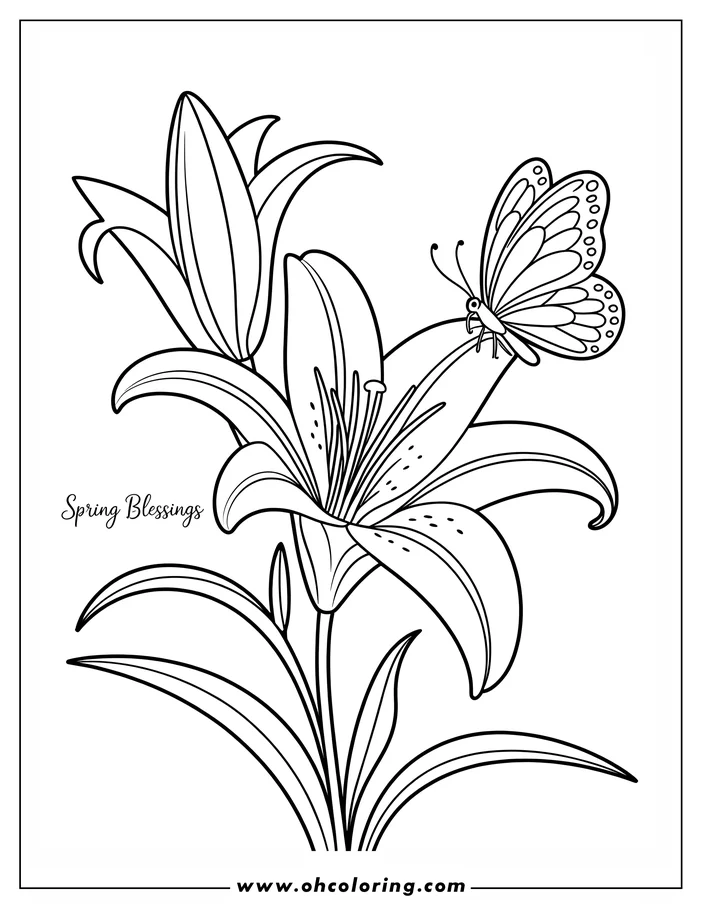 Line art of an Easter lily with a butterfly resting on its petal. The lily has large, open petals, and the butterfly's wings have detailed patterns.  This image is a coloring sheet design.