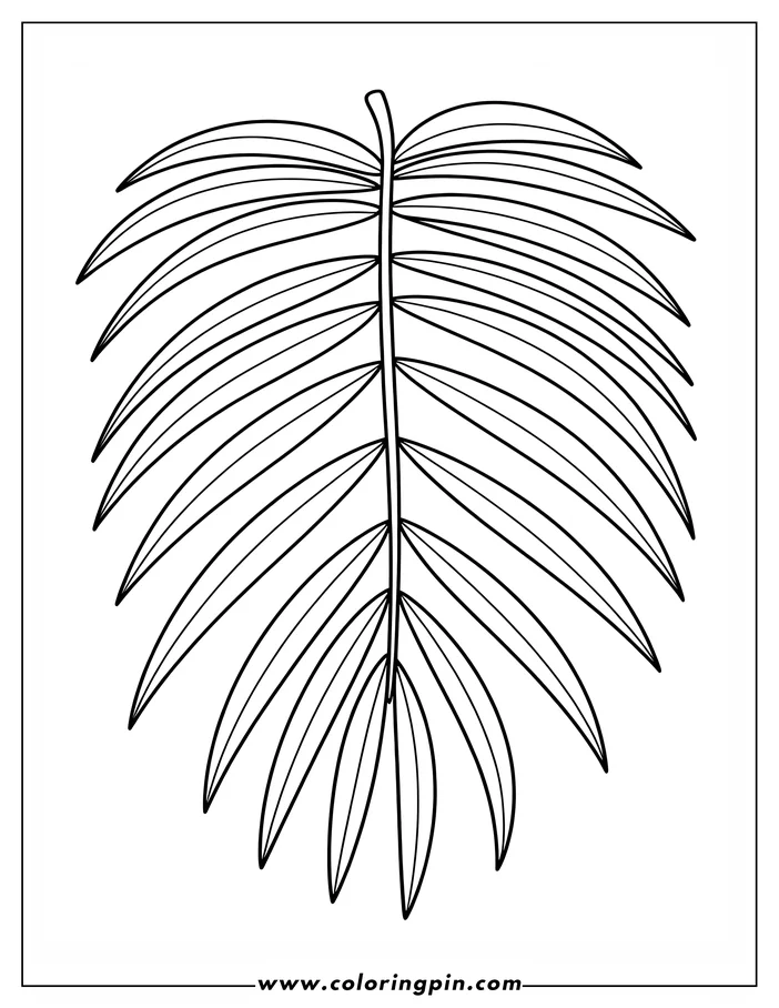 Line drawing of a palm leaf with many long segments.