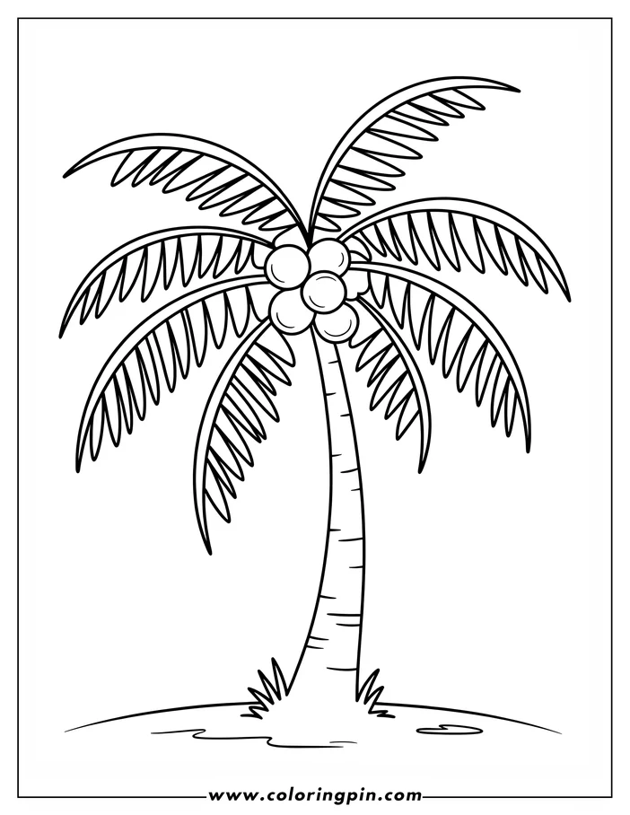 Outline of a palm tree with coconuts