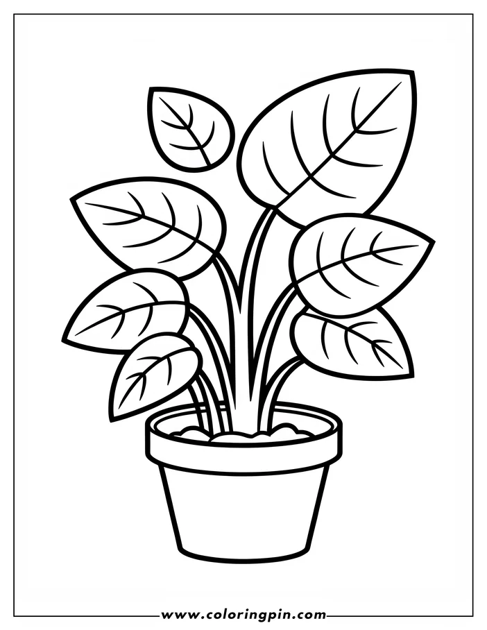 Line art of a potted plant with large leaves.