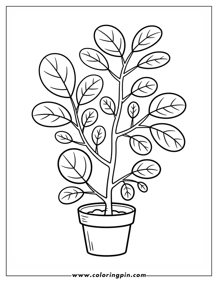 Simple outline of a small potted plant with rounded leaves.