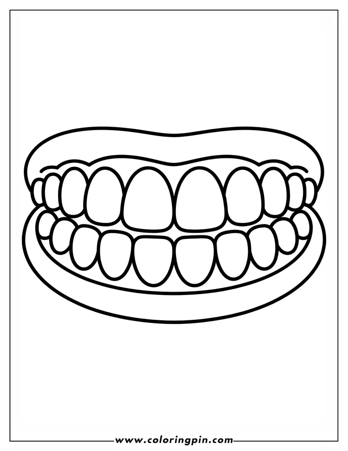 Line art of a set of teeth.