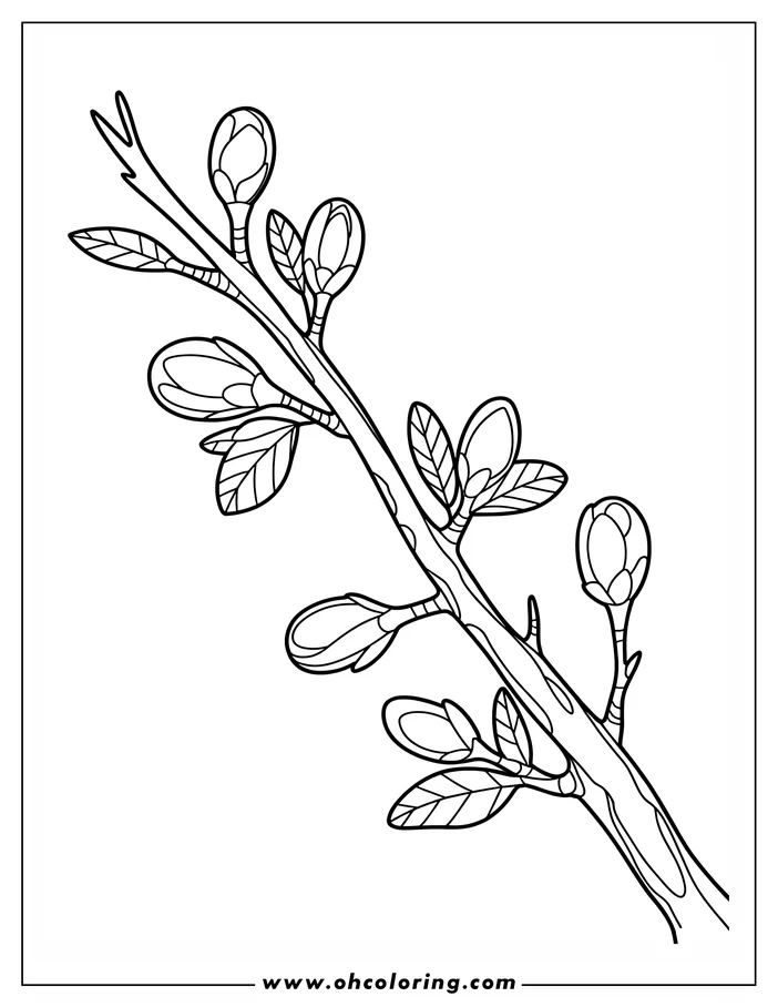 Line art of a tree branch with several buds and leaves, some closed and others slightly open, ready for coloring. A simple yet detailed design for an Earth Day coloring activity.