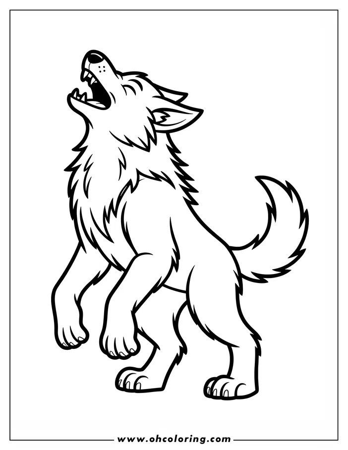Line art of a howling werewolf. The werewolf is standing on its hind legs with its head tilted back and mouth open in a howl. It has thick, shaggy fur and sharp claws. This coloring sheet design captures the ferocity and power of this mythical creature.